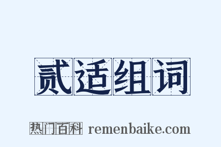 贰适组词是什么意思的图片
